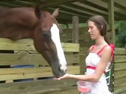 Girl feeding horse